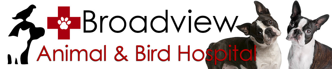 Broadview Animal and Bird Hospital